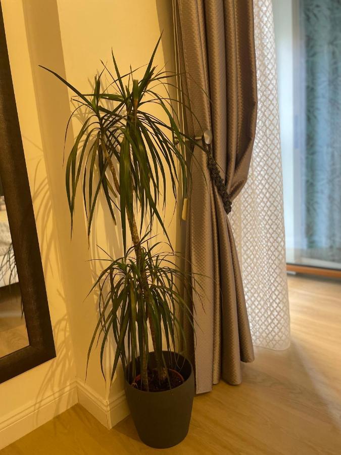 Carducci 83 Bed & Breakfast Пескара Екстериор снимка