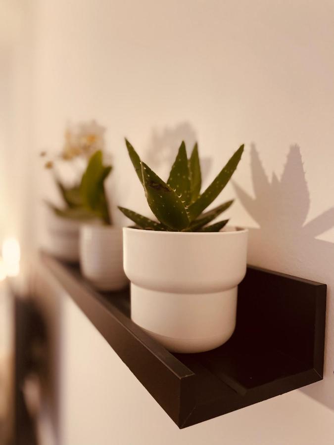 Carducci 83 Bed & Breakfast Пескара Екстериор снимка